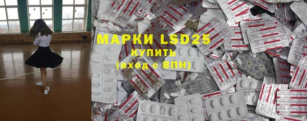 индика Нефтекумск