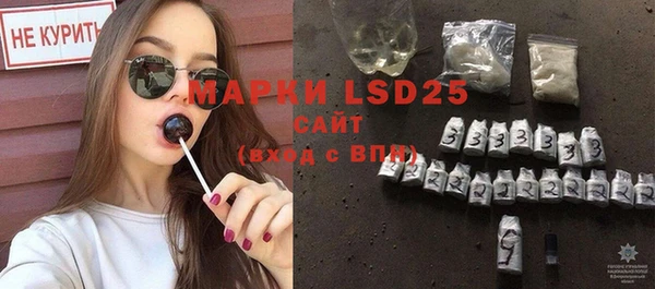 индика Нефтекумск